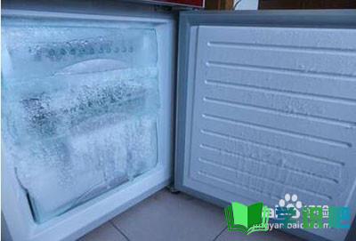 冰箱下面结冰严重怎么办？ 第7张
