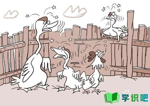 遇到禽流感怎么办？