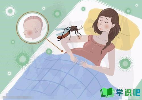 晚上睡觉蚊子多该怎么办？ 第5张