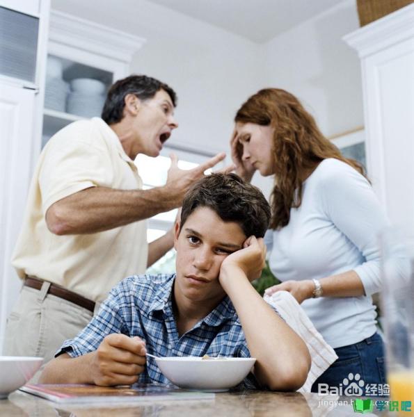 父母经常吵架闹离婚怎么办？ 第5张