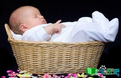 婴儿睡觉打呼噜怎么办？ 第15张