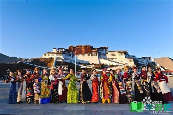 去西藏发生高原反应怎么办？ 第7张
