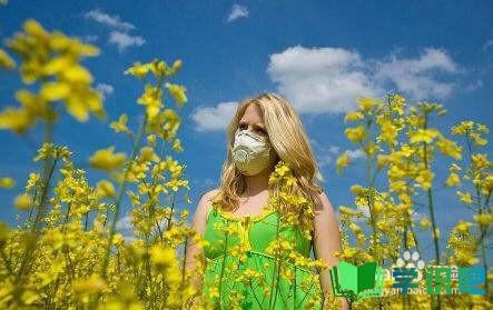 夏季花粉过敏怎么办？ 第3张