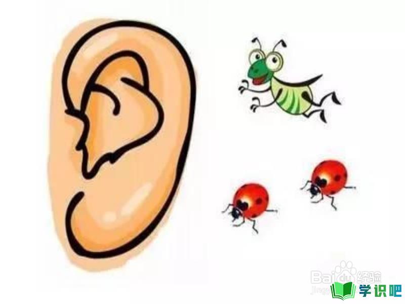 有异物不小心进入耳朵怎么办？