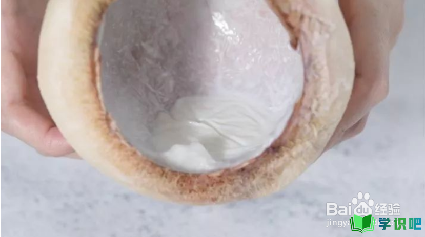 怎么做好吃的椰子炖双皮奶？ 第4张