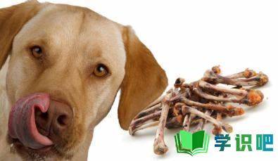 狗吃骨头呕吐怎么办？