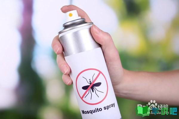 夏天睡觉的时候总是有很多蚊子怎么办？ 第4张