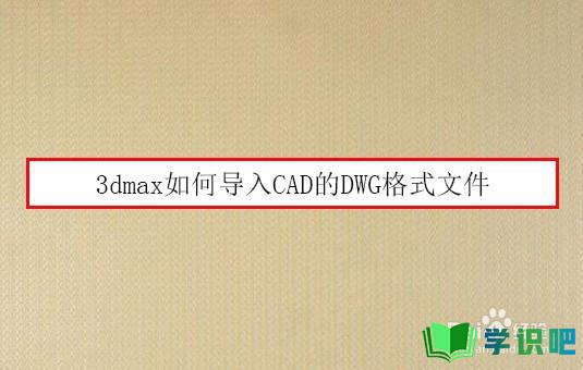 3dmax如何导入CAD的DWG格式文件？