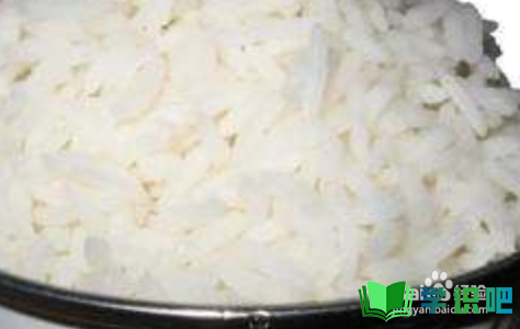 米饭糊味怎么去掉米饭煮糊了怎么办糊米饭怎么要？ 第1张