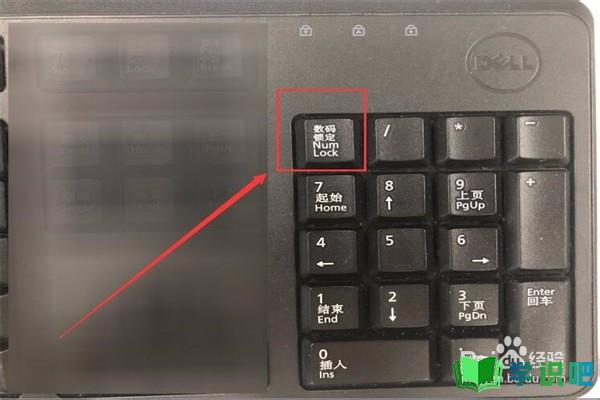 电脑键盘锁了怎么解锁？ 第6张
