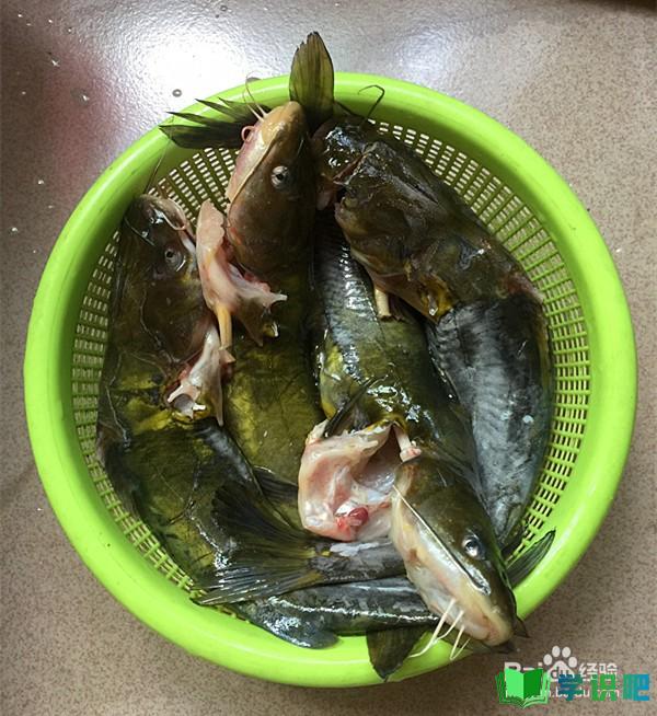 黄骨鱼的做法怎么做好吃？