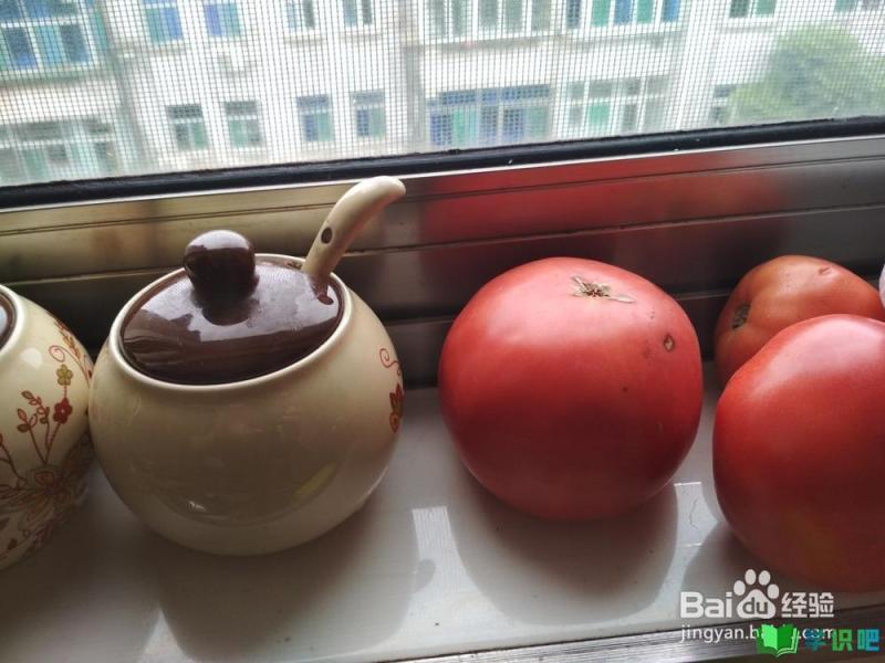 西红柿牛腩怎么做好吃？ 第12张