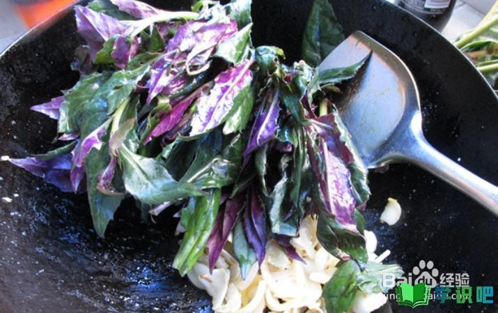 紫背菜怎么做好吃？ 第6张