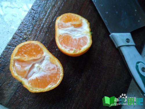 橘子果冻怎么做好吃？ 第3张