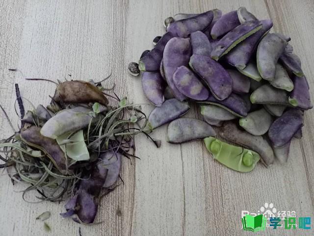 紫扁豆炒肉怎么做才好吃？ 第2张