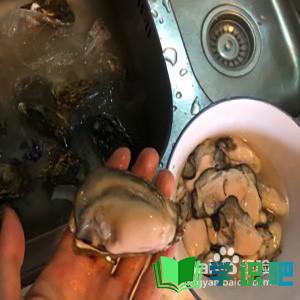 乳山牡蛎怎么做好吃？ 第2张