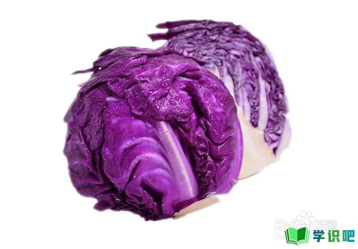 紫色包心菜怎么做好吃？ 第4张