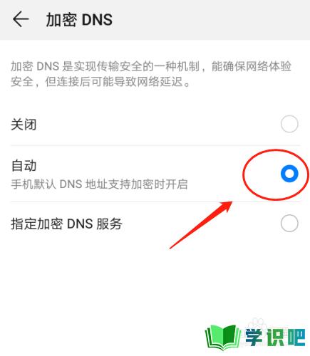 华为P30手机如何设置加密DNS？ 第6张